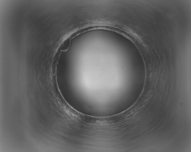 X0000051921264200507011550