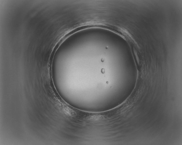 X0000051921268200507011550