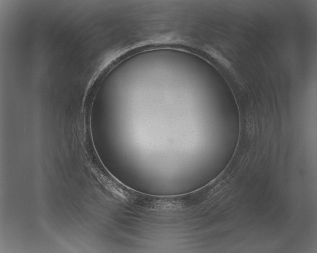 X0000051921270200507011550