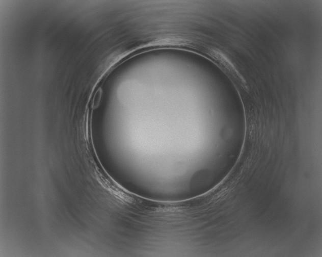 X0000051921276200507011550