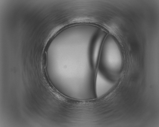 X0000051921277200507011550