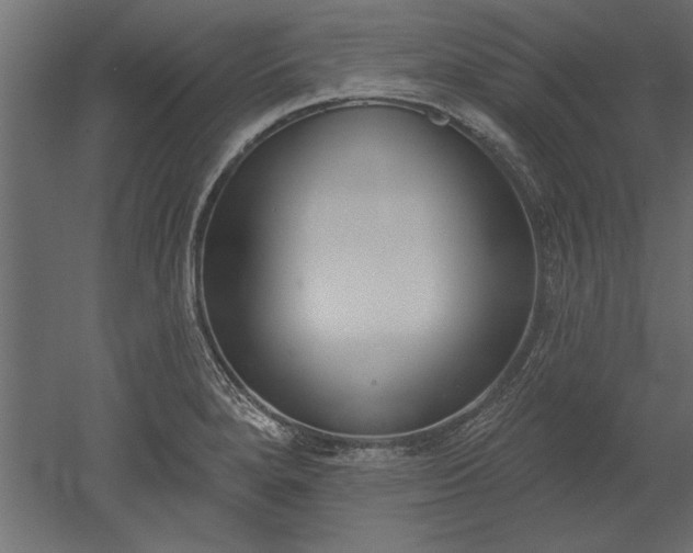 X0000051921280200507011550