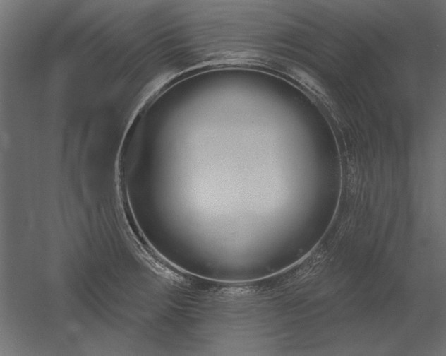 X0000051921283200507011550