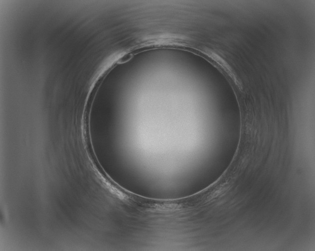 X0000051921285200507011550
