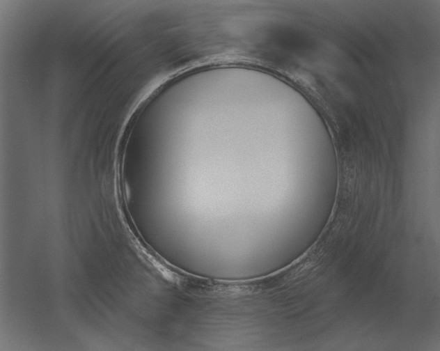 X0000051921286200507011550