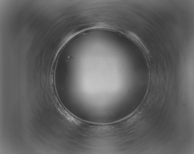 X0000051921292200507011550