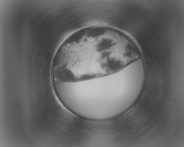 X0000051921295200507011550