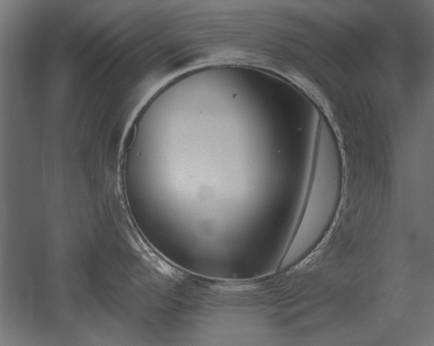 X0000051921296200507011550
