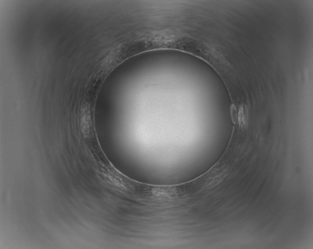 X0000051921299200507011549