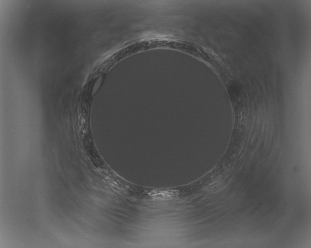 X0000051921303200507011549