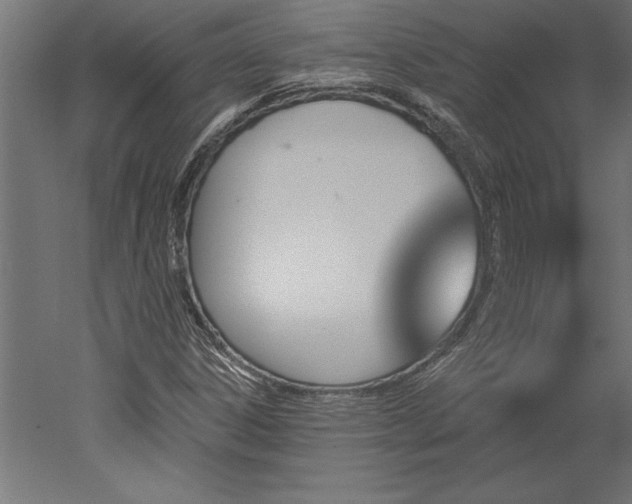X0000051921306200507011549