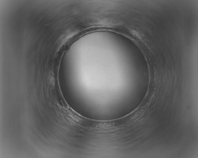 X0000051921307200507011549