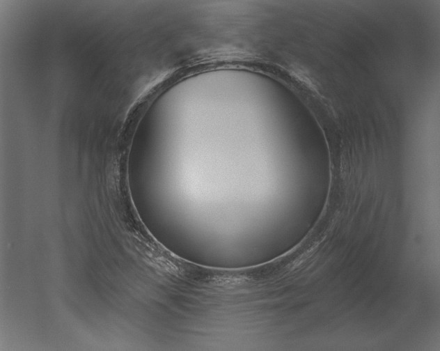 X0000051921309200507011549