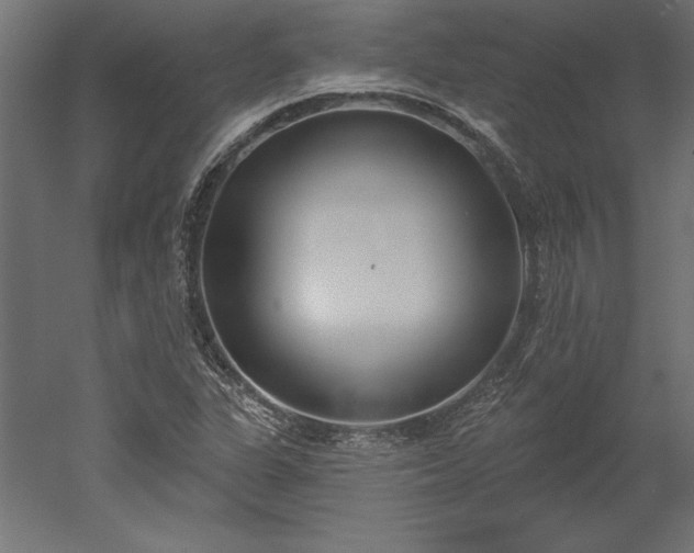 X0000051921311200507011549