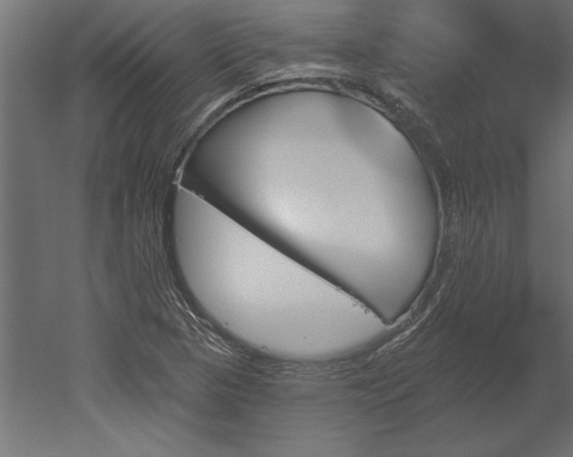 X0000051921313200507011549