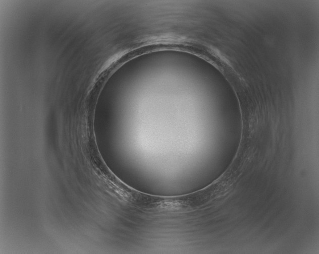 X0000051921315200507011549
