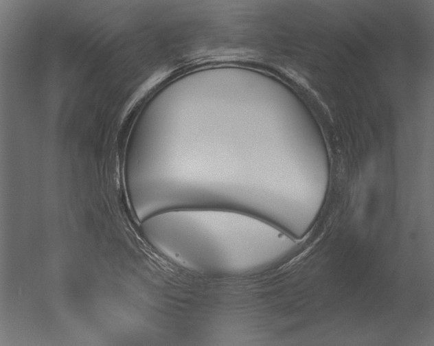 X0000051921317200507011549