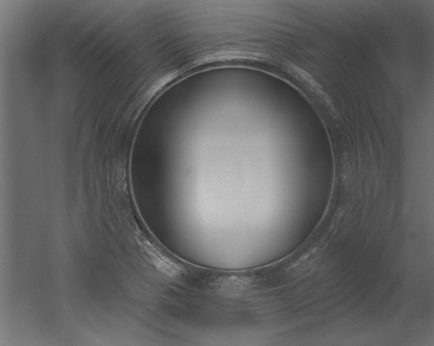 X0000051921321200507011549
