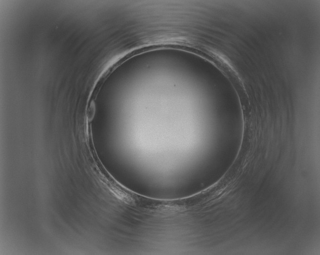 X0000051921324200507011549