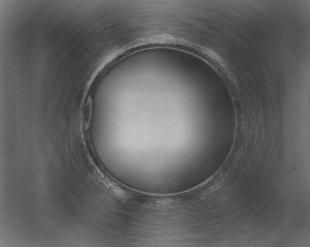 X0000051921326200507011549