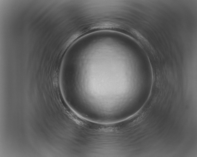 X0000051921329200507011549