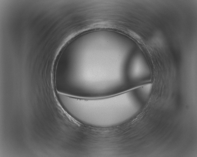 X0000051921334200507011550