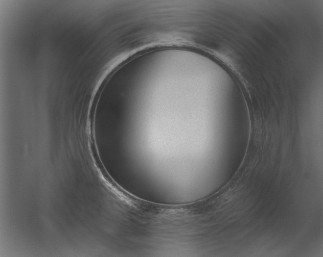 X0000051921335200507011550