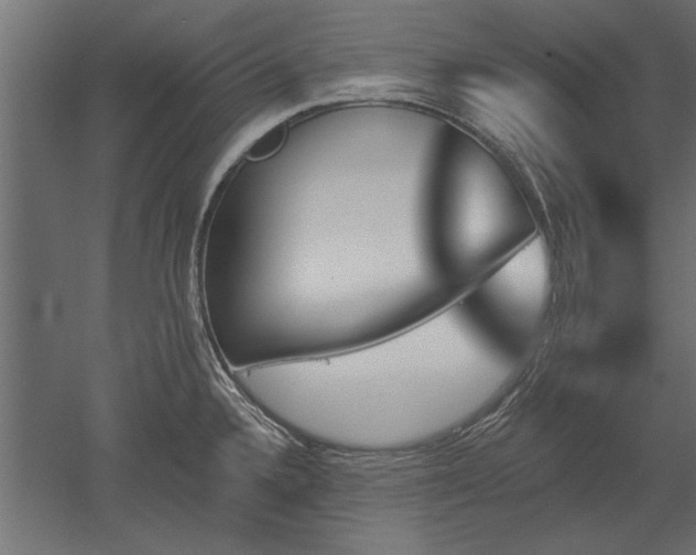 X0000051921336200507011550