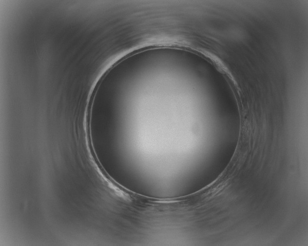 X0000051921343200507011550