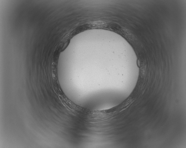 X0000051921346200507011549