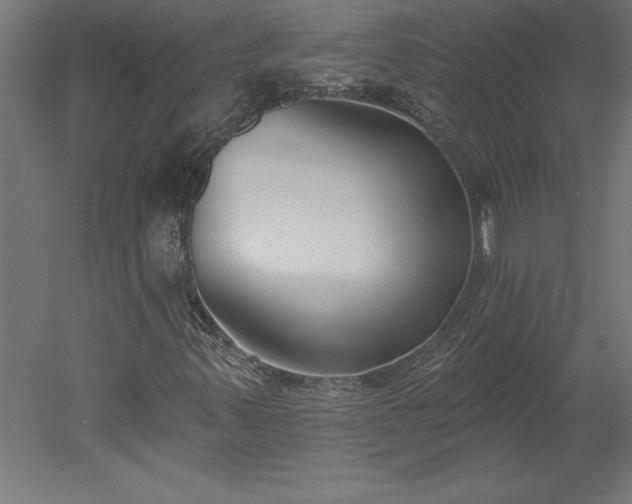 X0000051921347200507011549
