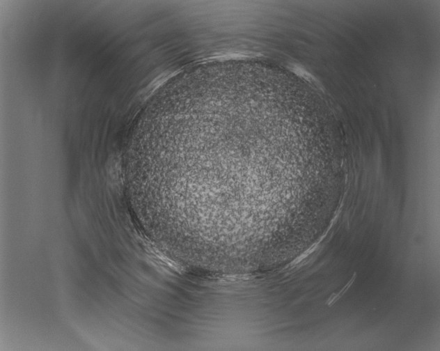 X0000051921353200507011549