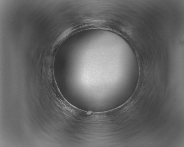 X0000051921354200507011549