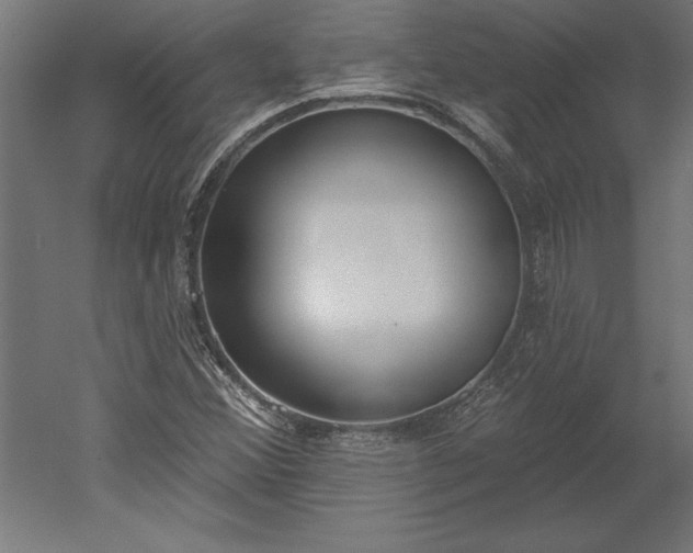 X0000051921356200507011549