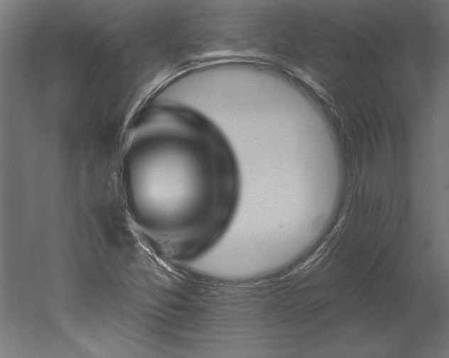 X0000051921357200507011549