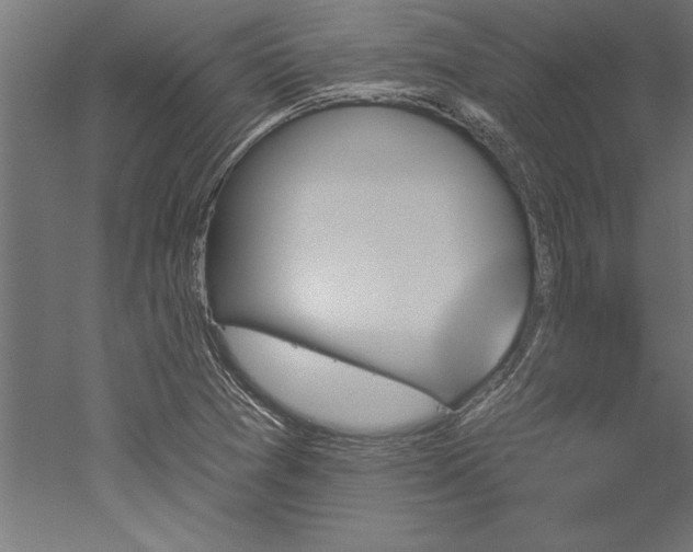 X0000051921361200507011549