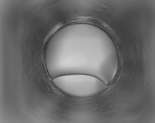 X0000051921362200507011549