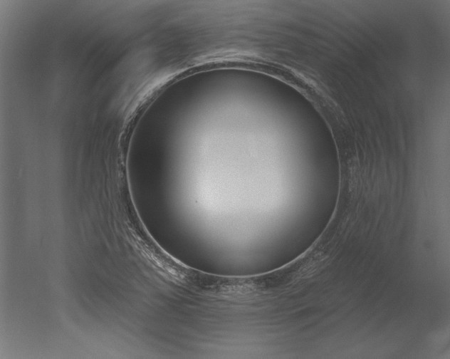 X0000051921363200507011549