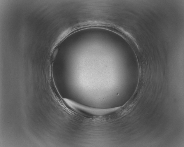 X0000051921365200507011549