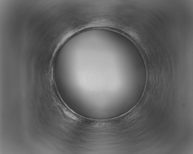 X0000051921366200507011549