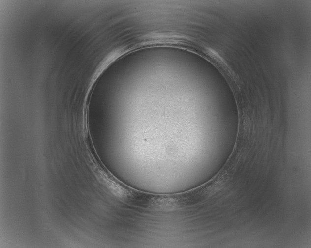 X0000051921370200507011548