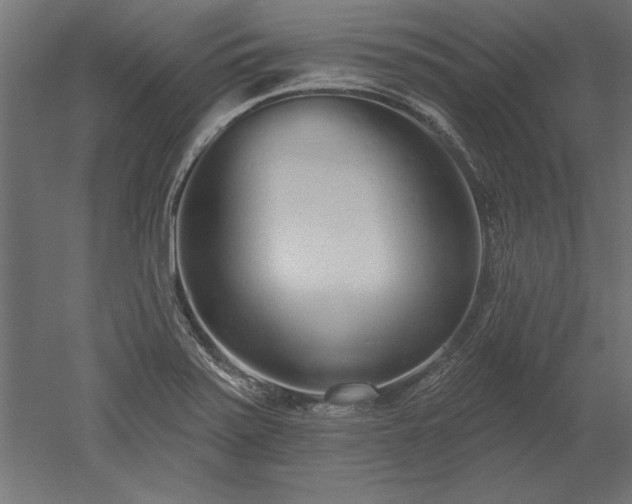 X0000051921371200507011548
