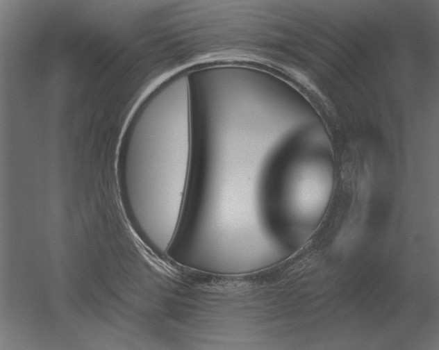 X0000051921372200507011548