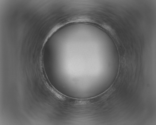 X0000051921374200507011548