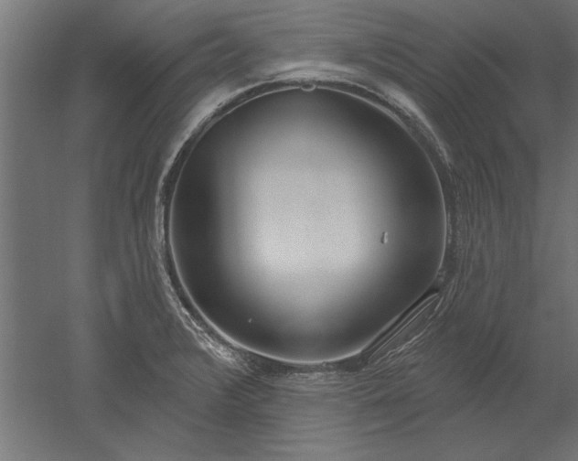 X0000051921376200507011548