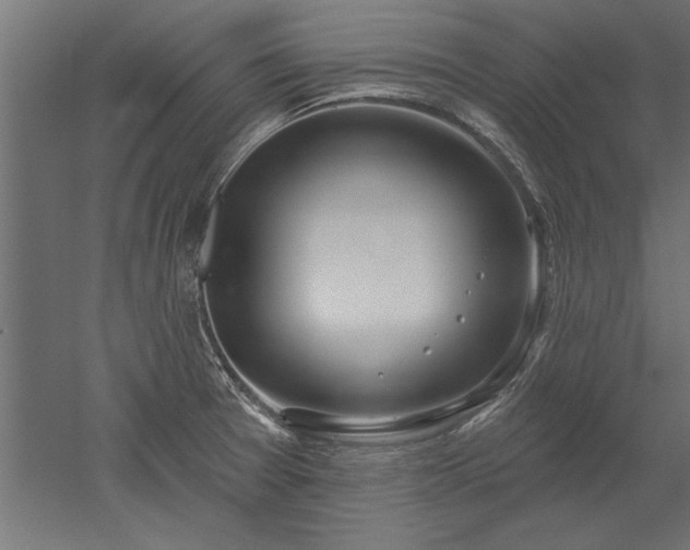 X0000051921377200507011548