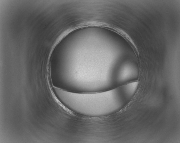 X0000051921381200507011548