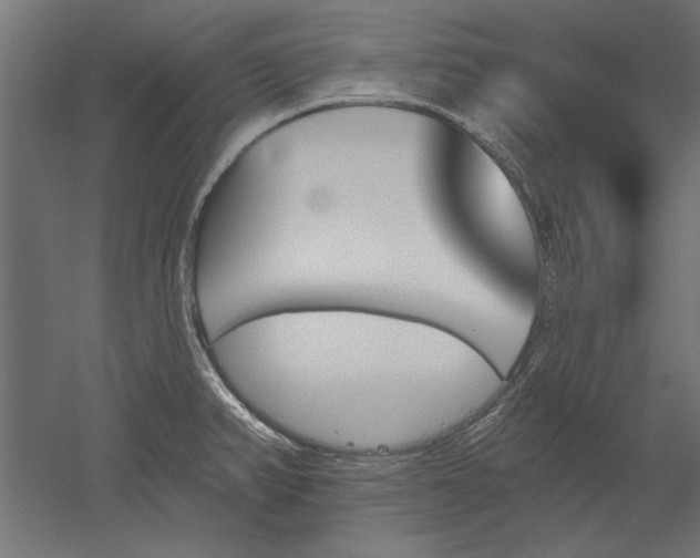 X0000051921382200507011548