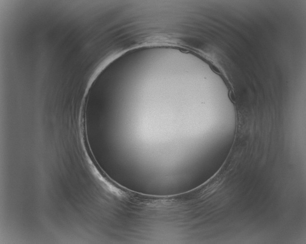 X0000051921387200507011548