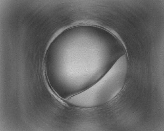 X0000051921389200507011548